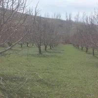 فروش زمین درمرگور