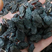 فخری و کشمش|خوردنی و آشامیدنی|میاندوآب, |دیوار