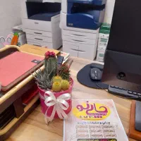 مرکز چاپ ، طراحی. پرینت و فتوکپی چاپینو