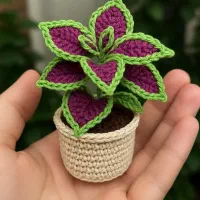 کش مو|زیورآلات و اکسسوری|کهنوج, |دیوار