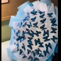 دسته گل پروانه ای|گل مصنوعی|سبزوار, پاسداران|دیوار