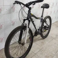 دوچرخه ویوا المینت