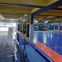 آموزش mma،بوکس،دفاع شخصی|خدمات آموزشی|تهران, دهکده المپیک|دیوار