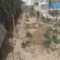 باغچه-250-متری