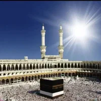 فروش فوری دو عدد فیش حج واجب