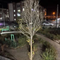 ولیعصر3.متراژ103متر.واحدمنحصربه فردجمهوری