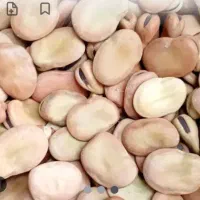 باقالی خشک تمیز هفت بند امساله