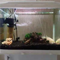 آکواریوم شرکتی مدل دلسا|ماهی|مشکیندشت, |دیوار