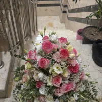 گل تازه|گل و گیاه طبیعی|ری, دیلمان|دیوار