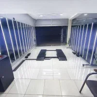 مجهزترین تشخیص رنگ خودرو