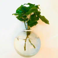 تنگ دیواری یا گلدان شیشه ایی دیواری