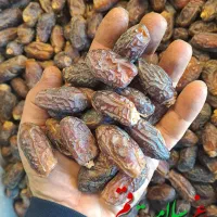 خرما پیارم بوشهر شاوی شهابی