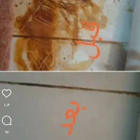 بااسپری پاکینوس هزار منظوره خانه خودرا نوکنید