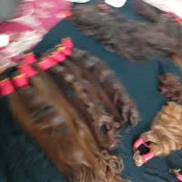 ب ما اعتماد کن