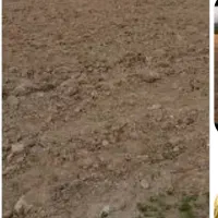 زمین-کشاورزی-پشت-بسطام