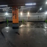 نیروی کارواش