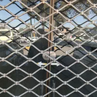 اجاره مغازه ۳۵متر.بلوارهیرکان|اجارهٔ مغازه و غرفه|گرگان, |دیوار