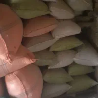 کاه خارشتری