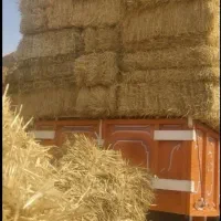 پرس بسته بندی گندم