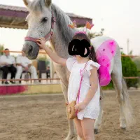 پونی دو رگ فلابلا کاسپین|اسب و تجهیزات اسب‌سواری|گنبد کاووس, |دیوار