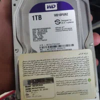 هارد 1 ترابایت بنفش اصلی 5سال خواب بوده