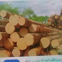 خدمات‌باغبانی‌درختکاری