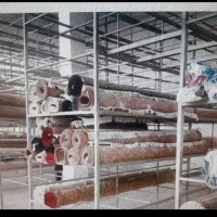 قالیشویی ومبلشویی فرشتگان مهرآباد گیلاوند|خدمات نظافت|رودهن, |دیوار