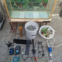 آکواریوم|ماهی|نجف‌آباد, امیرآباد|دیوار