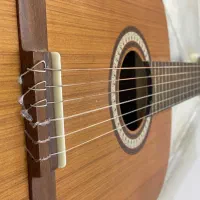 گیتار پارسی M 5