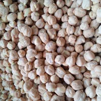 نخود لوبیا قرمز لوبیا سفید لوبیا چیتی|عمده‌فروشی|فامنین, |دیوار