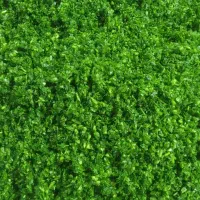 سرخ کردن سبزی شما با دستگاه اتومات