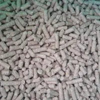 خوراک ویژه آزمون دانه|عمده‌فروشی|آباده, |دیوار
