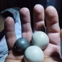 سنگ آسیاب اصلی