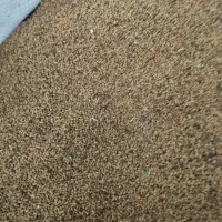 بذر یونجه تضمینی|عمده‌فروشی|رابر, |دیوار