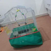 قفس پرنده