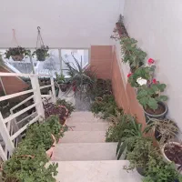 نظافت ساختمان(راه پله و پیلوت)