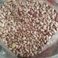 باقلی|خوردنی و آشامیدنی|فومن, |دیوار