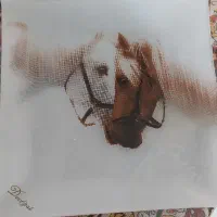 پیش دستی.اردوخوری سوگا ژاپن.تنگ اب