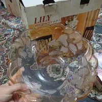 سرویس پذیرایی سوگا ژاپن اصل معاوضه با نقره