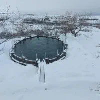 احداث استخر و منبع ذخیره آب