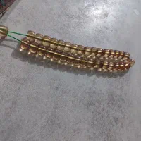 سندلوس نباتی معاوضه با قناری نر بخوان