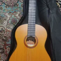 گیتار مارک ترکیه صفر