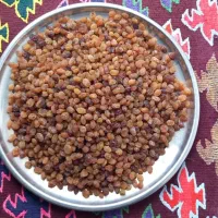 کشمش آفتابی و طلایی|خوردنی و آشامیدنی|قزوین, |دیوار