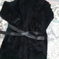 پالتو|لباس|چناران, |دیوار