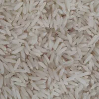 برنج طارم هاشمی.سرلاشه. مازندران