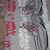 ۴ عدد تشک