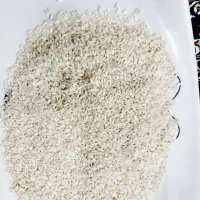 برنج عنبربوتیلکی یاهمون نشا با مدرک