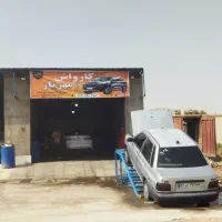 نیروی کار کارواش