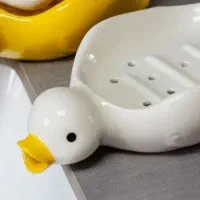 جاصابون سرامیکی