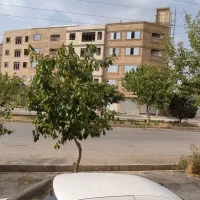 معاوضه مغازه ۱۶ متر بر عرفان شرقی با باغ در قلات|فروش دفتر صنعتی، کشاورزی، تجاری|شیراز, کوشک میدان|دیوار